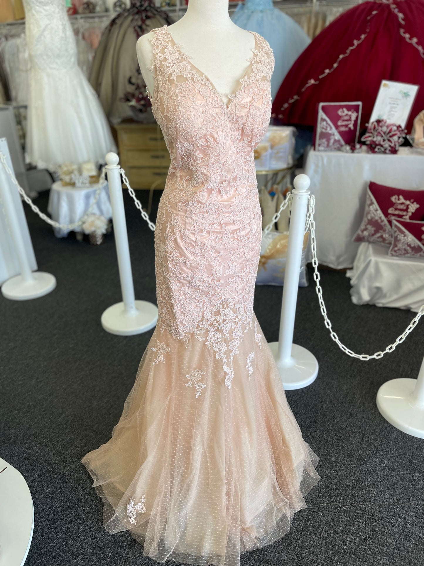 Lily’s Mocha Blush Evening Gown EV5162