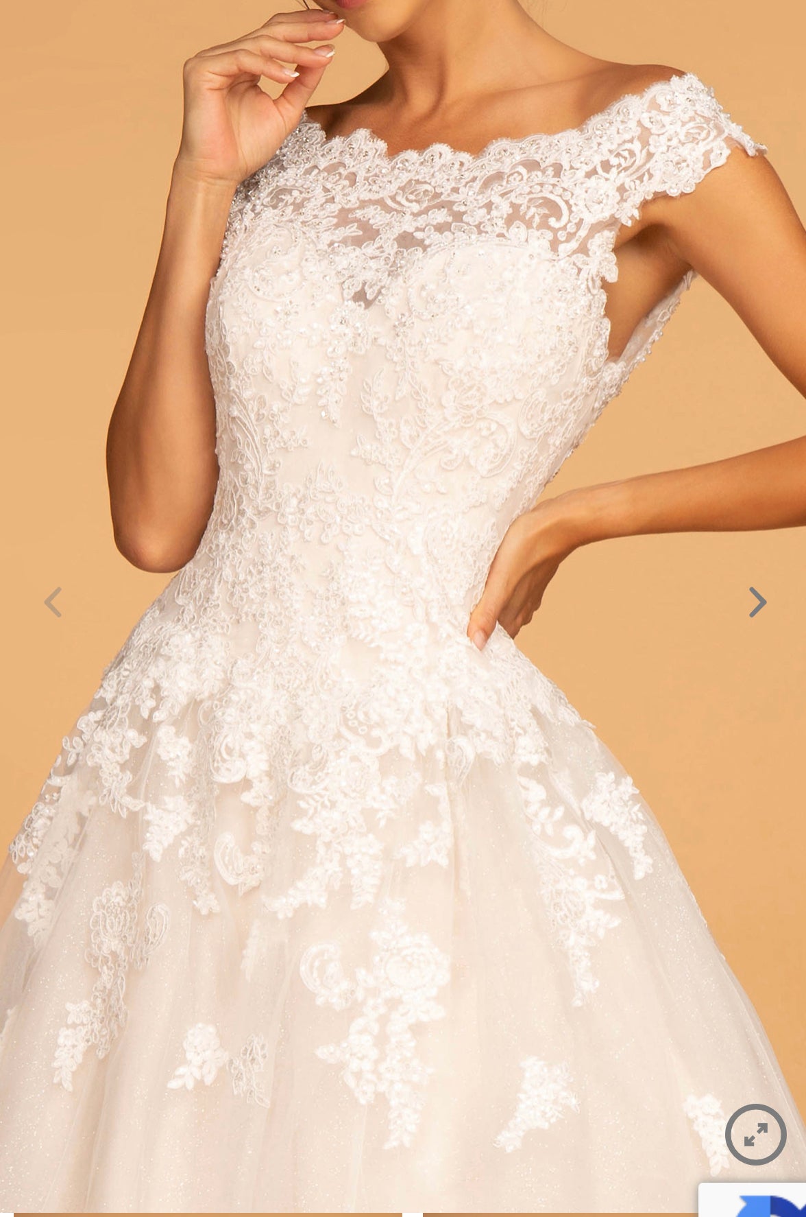 Lily’s ivory/cream Boat-Neck Embroidered Mesh A-Line Wedding Gown GL2596