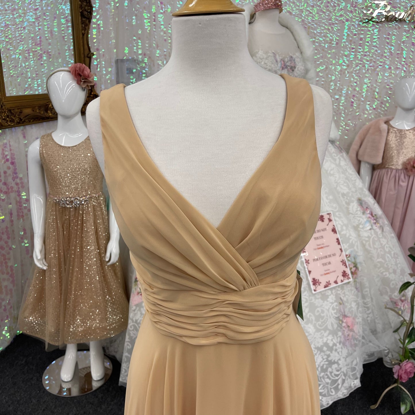 Lily’s Champagne Bridesmaids gown