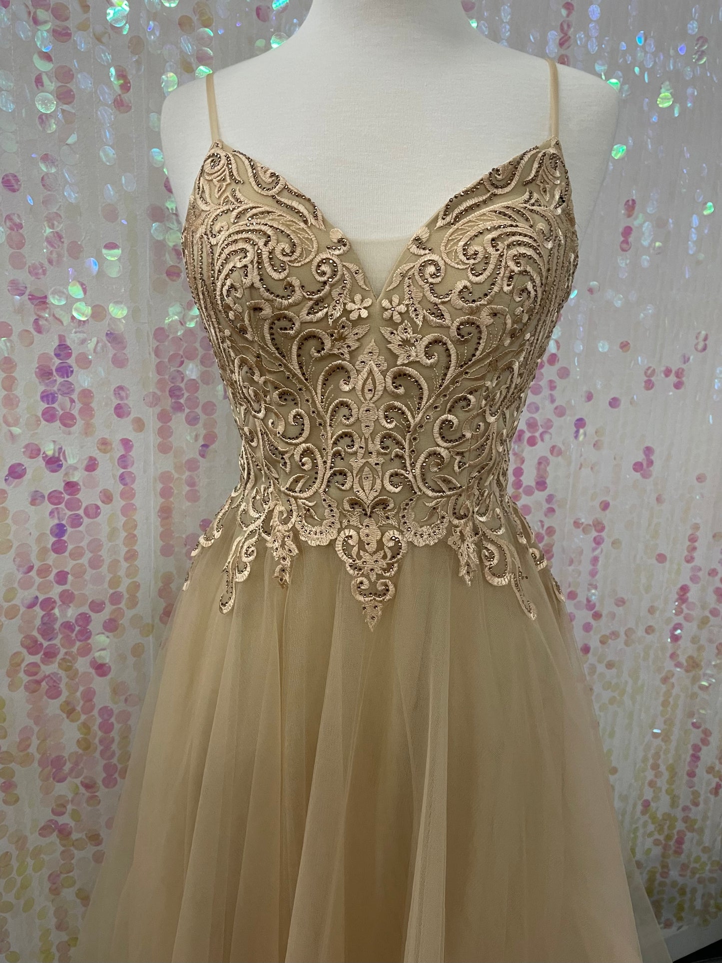 Lily's Champagne Tulle with Lace Embroidery Formal Dress FIE25095