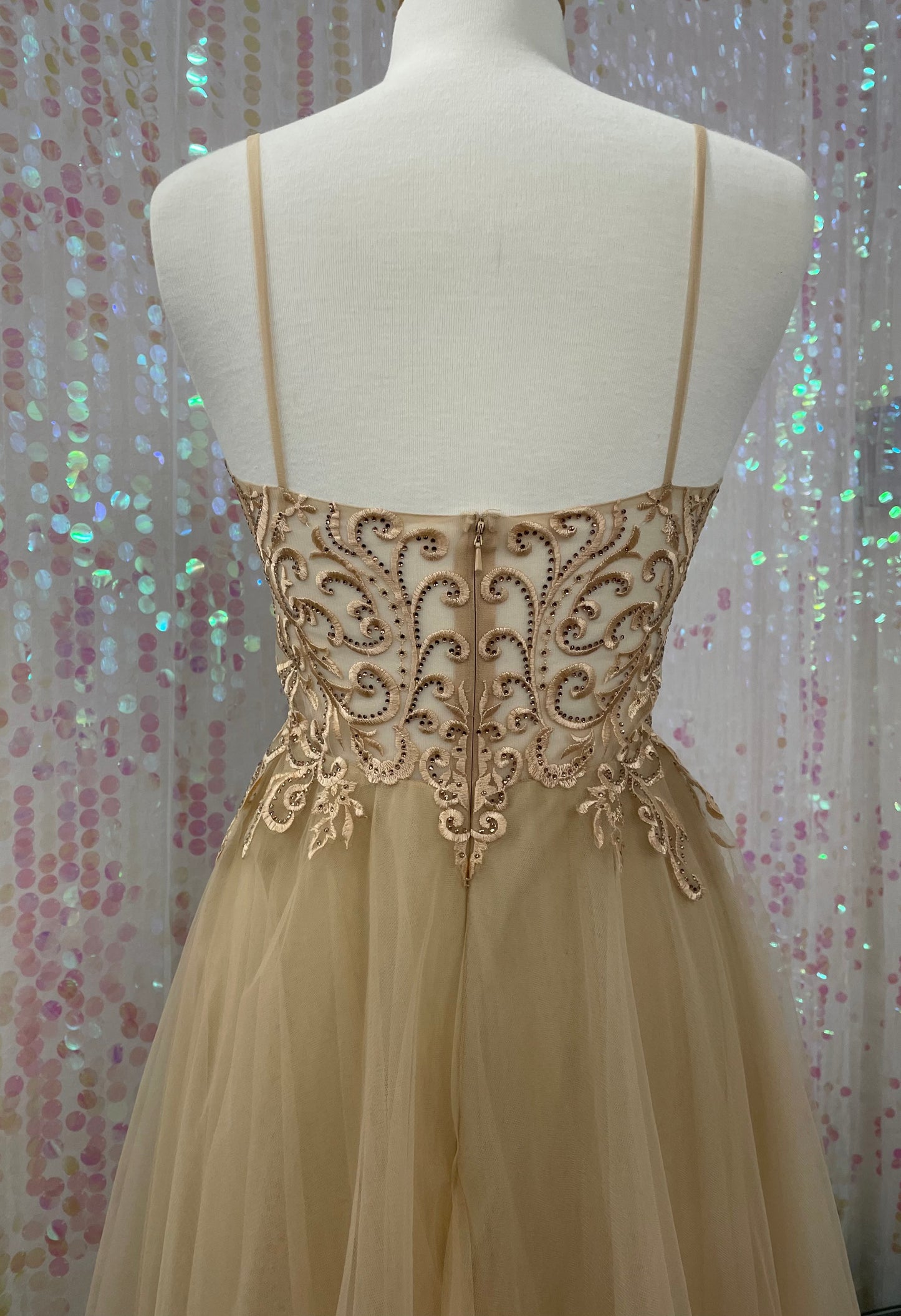 Lily's Champagne Tulle with Lace Embroidery Formal Dress FIE25095