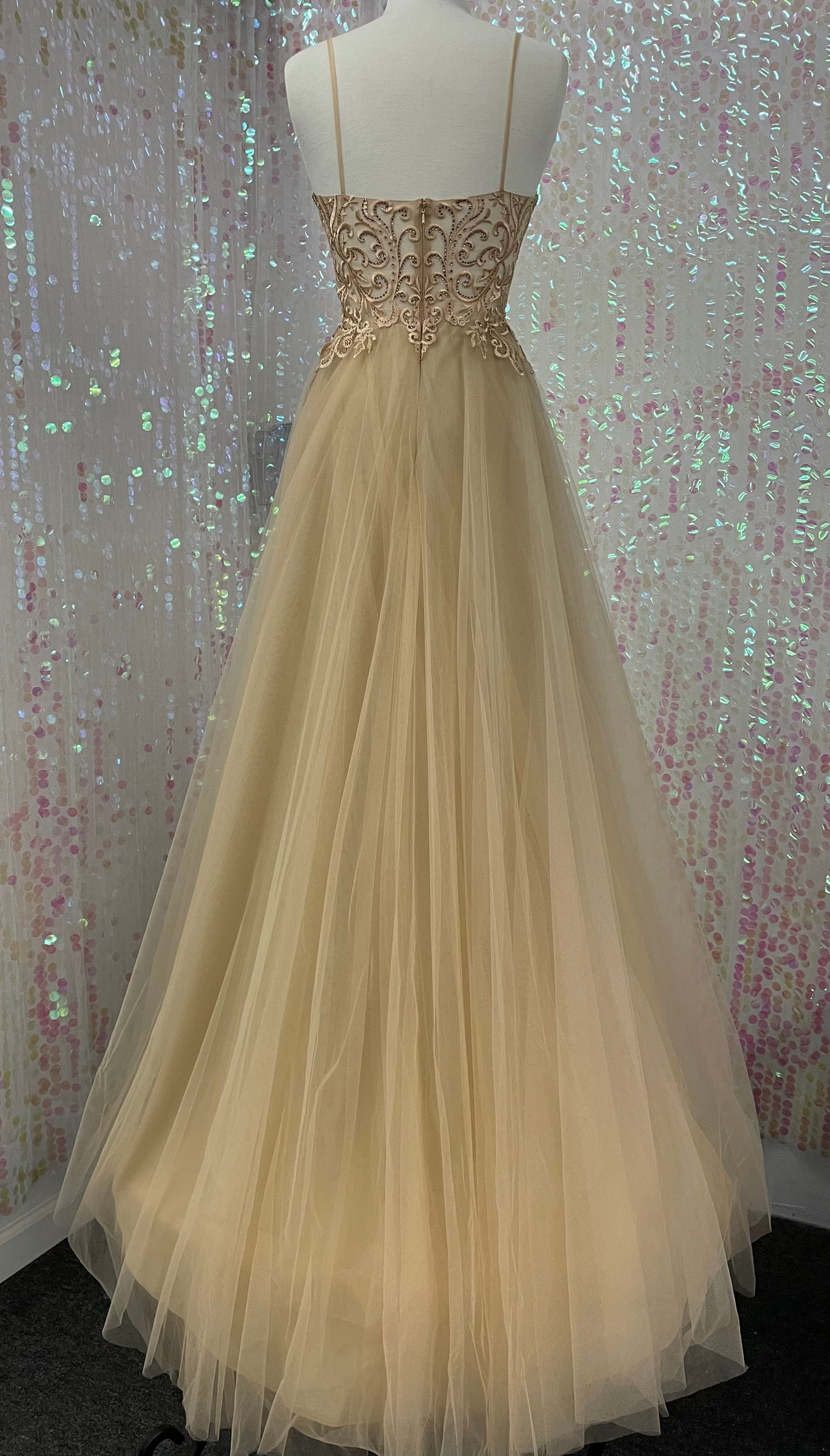 Lily's Champagne Tulle with Lace Embroidery Formal Dress FIE25095