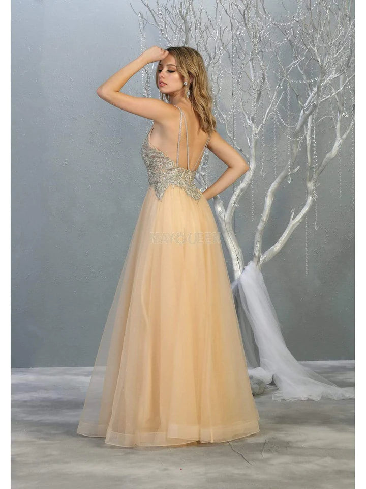LILYS CHAMPAGNE LONG BEADED V-NECK BODICE TULLE DRESS