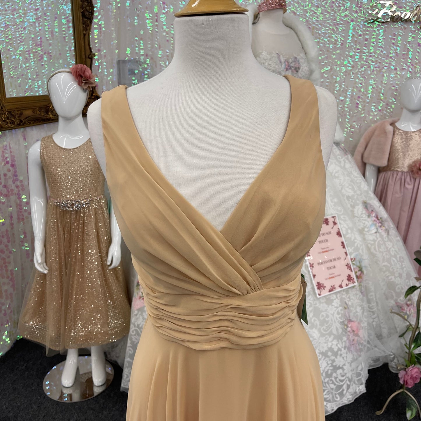 Lily’s Champagne Bridesmaids gown