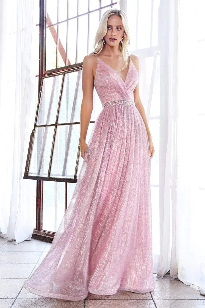 LILY S DUSTY ROSE EMBELLISHED WAIST METALLIC A LINE DRESS CD