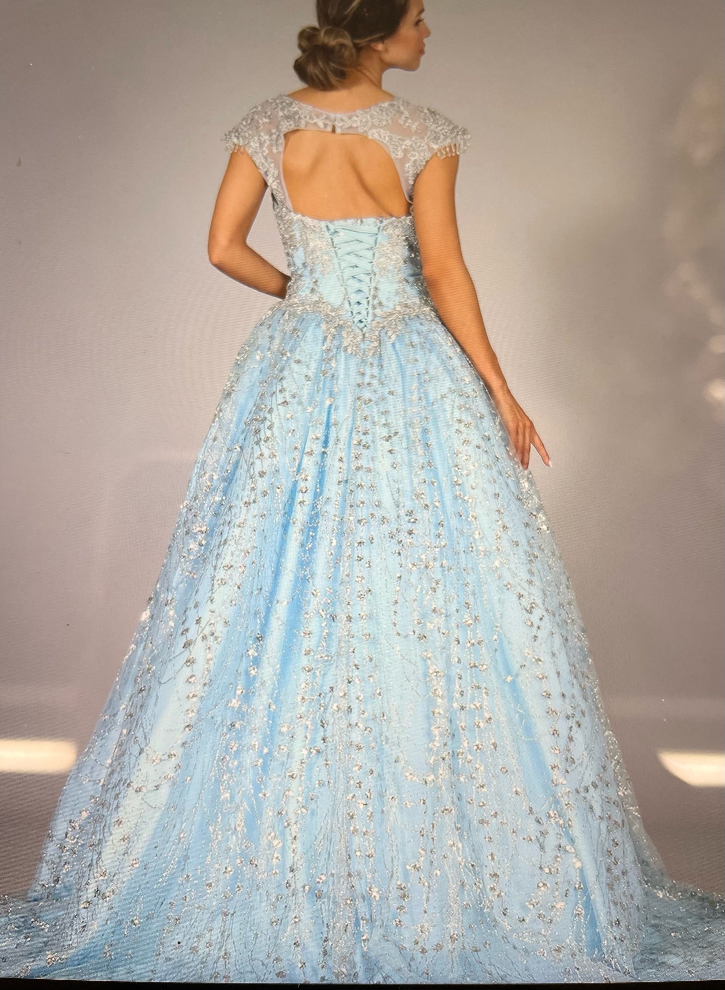 Lily's Baby blue FIE10262 A-line Blue Quinceanera Dress