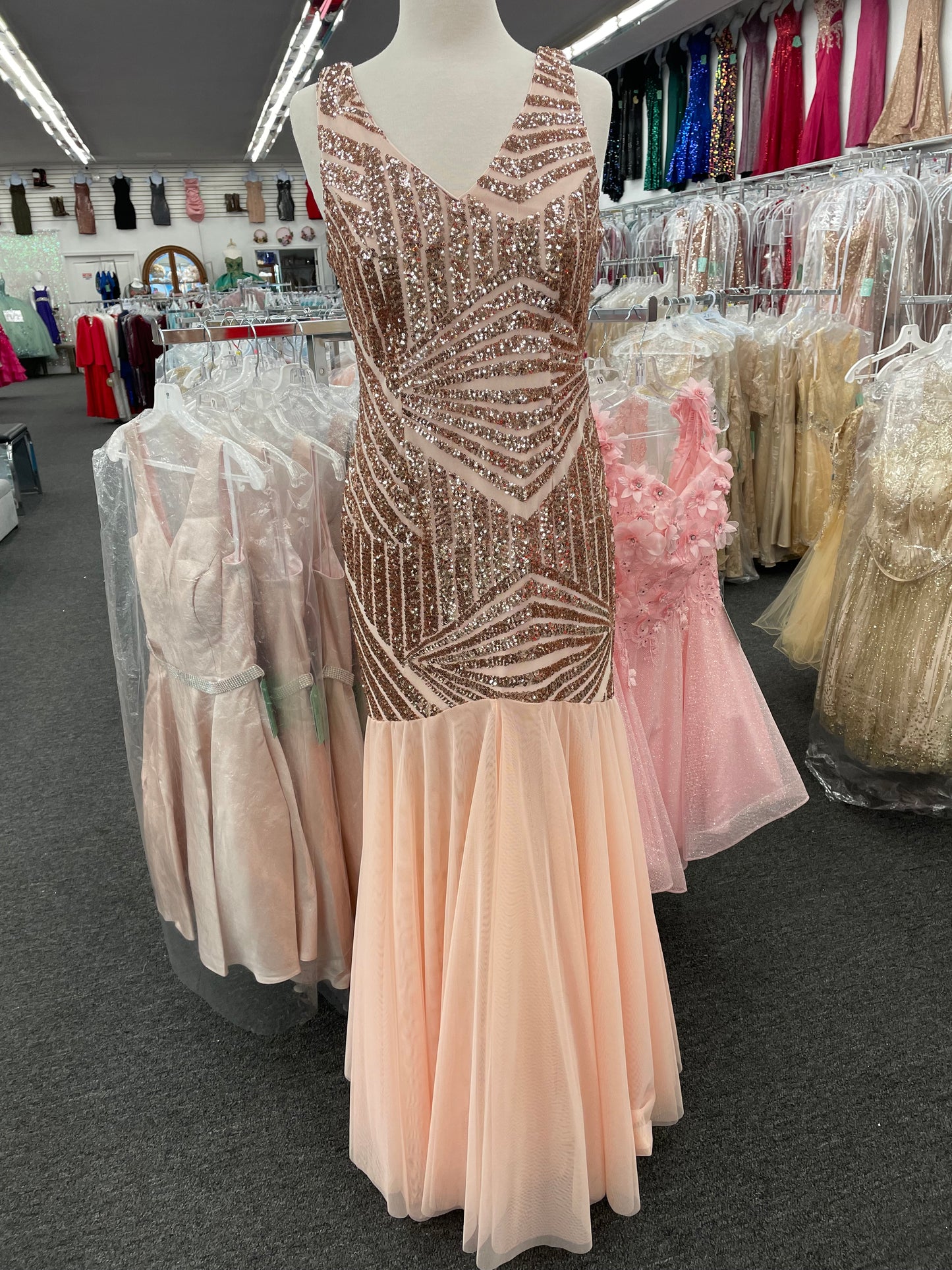 Lily’s blush sequins/tulle mermaid gown